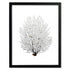 black sea fan black portrait frame